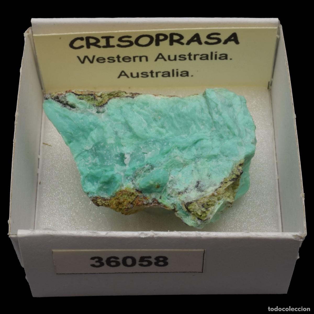 Coleccionismo de minerales: CRISOPRASA (Western Australia, Australia) #36058
