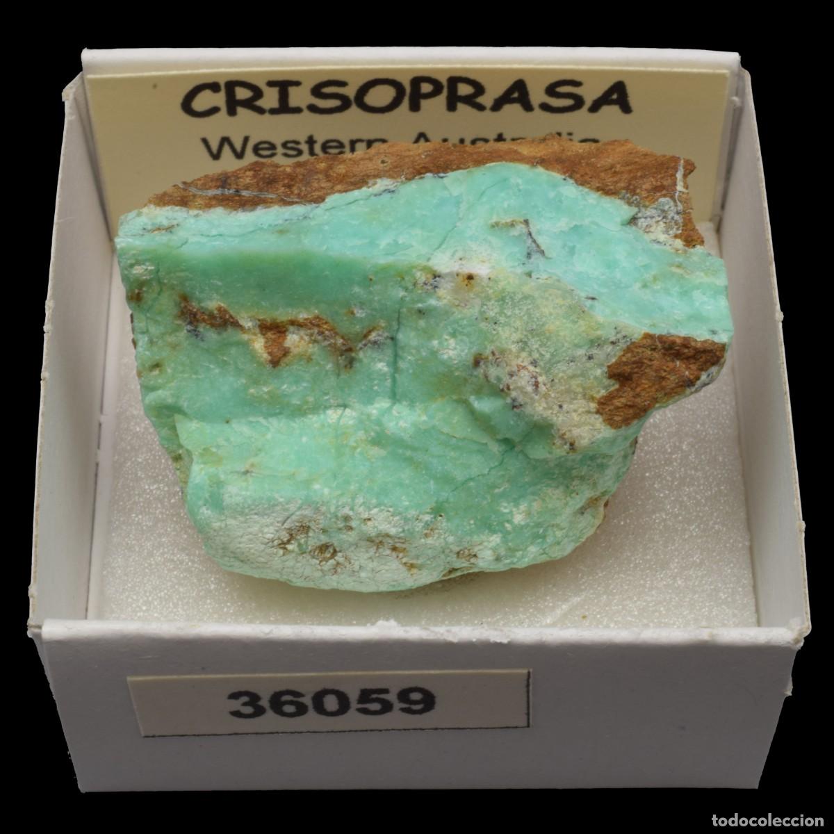 Coleccionismo de minerales: CRISOPRASA (Western Australia, Australia) #36059