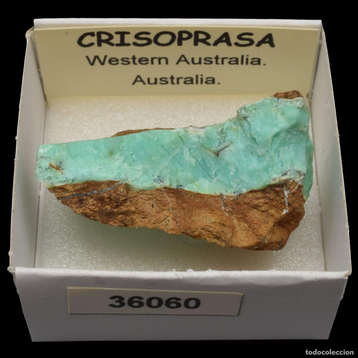 Coleccionismo de minerales: CRISOPRASA (Western Australia, Australia) #36060