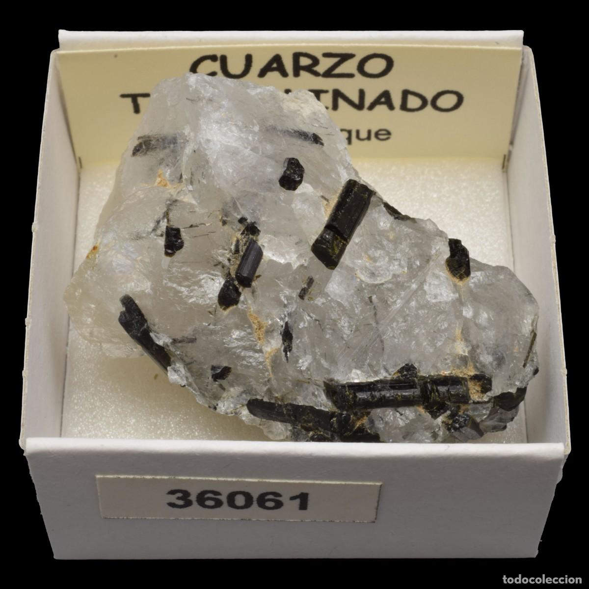 Coleccionismo de minerales: CUARZO TURMALINADO (Mozambique) #36061