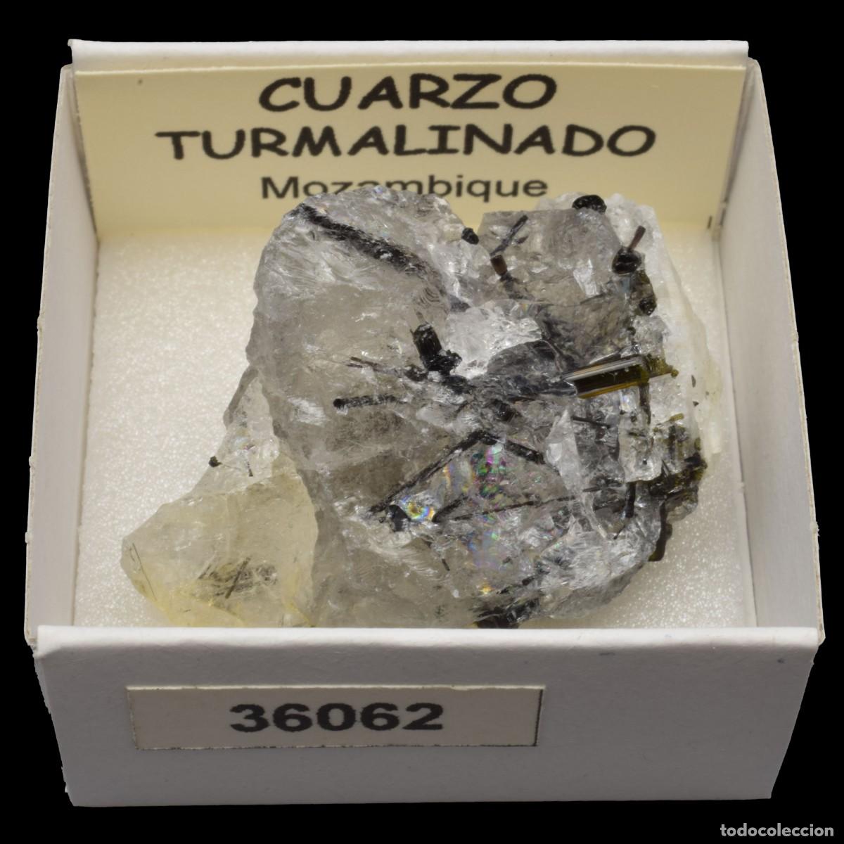 Coleccionismo de minerales: CUARZO TURMALINADO (Mozambique) #36062