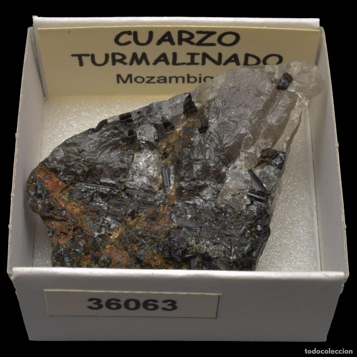 Coleccionismo de minerales: CUARZO TURMALINADO (Mozambique) #36063