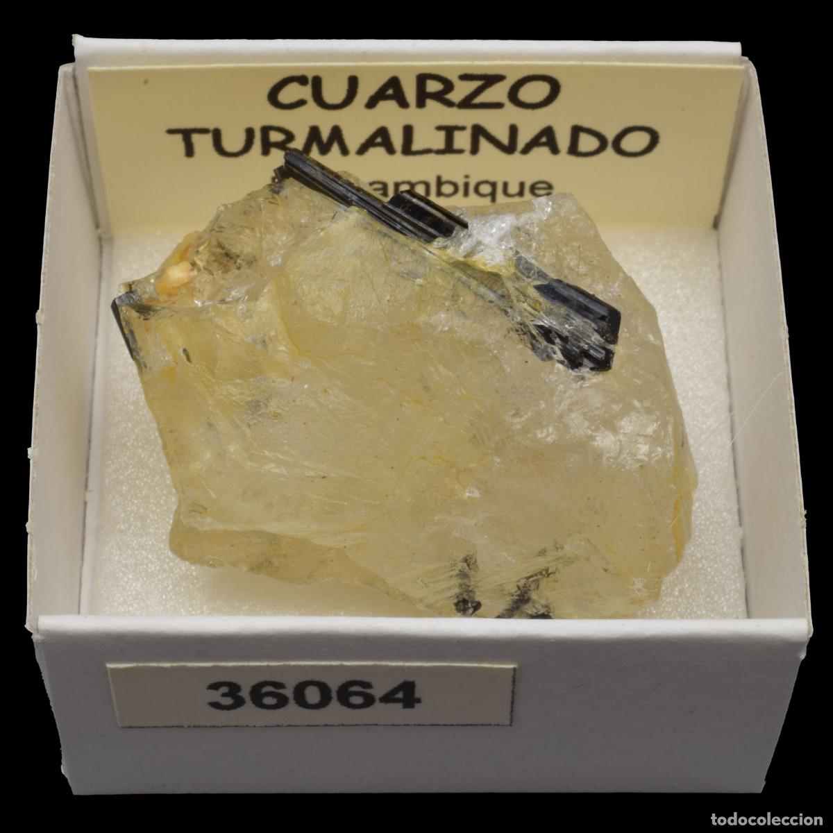 Coleccionismo de minerales: CUARZO TURMALINADO (Mozambique) #36064