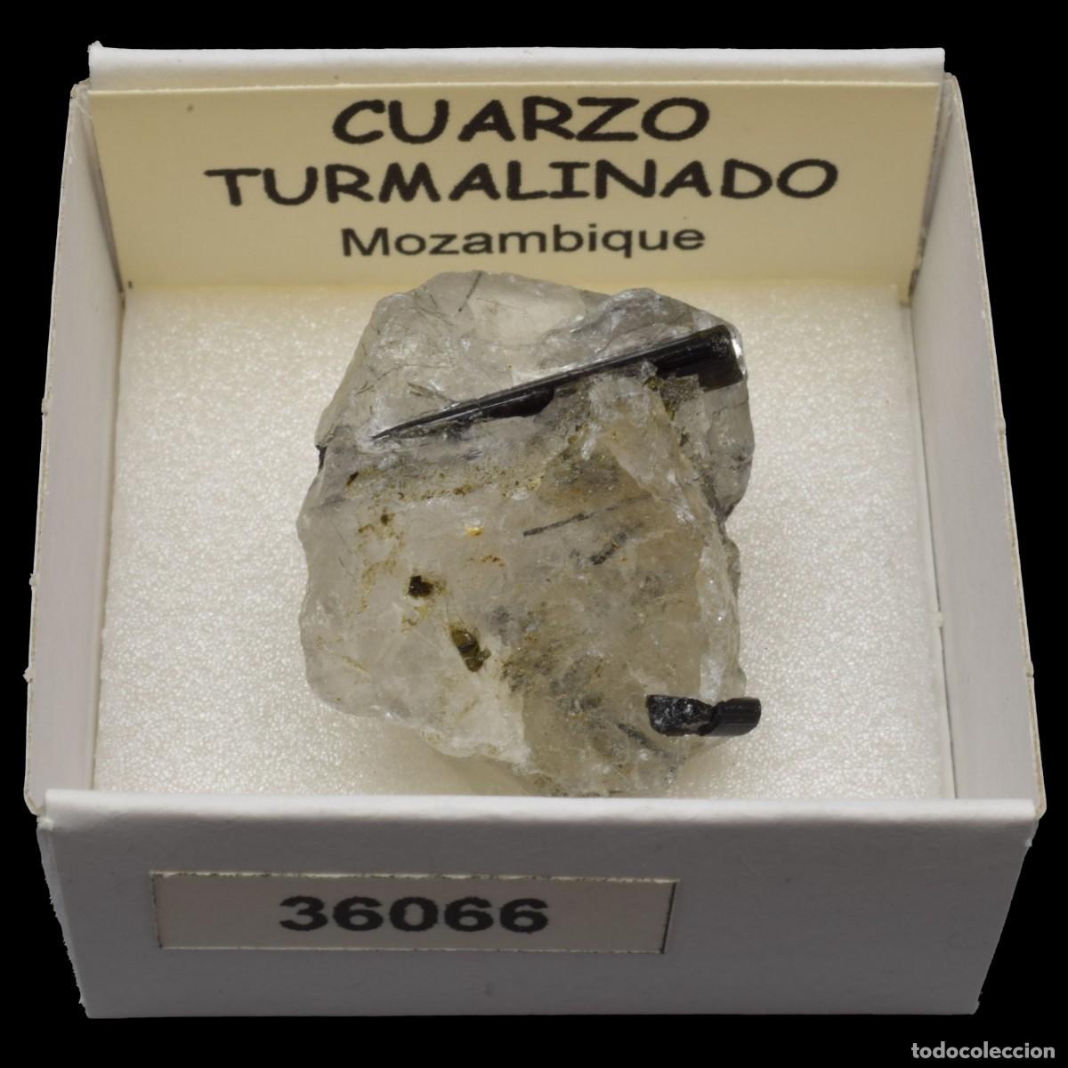Coleccionismo de minerales: CUARZO TURMALINADO (Mozambique) #36066