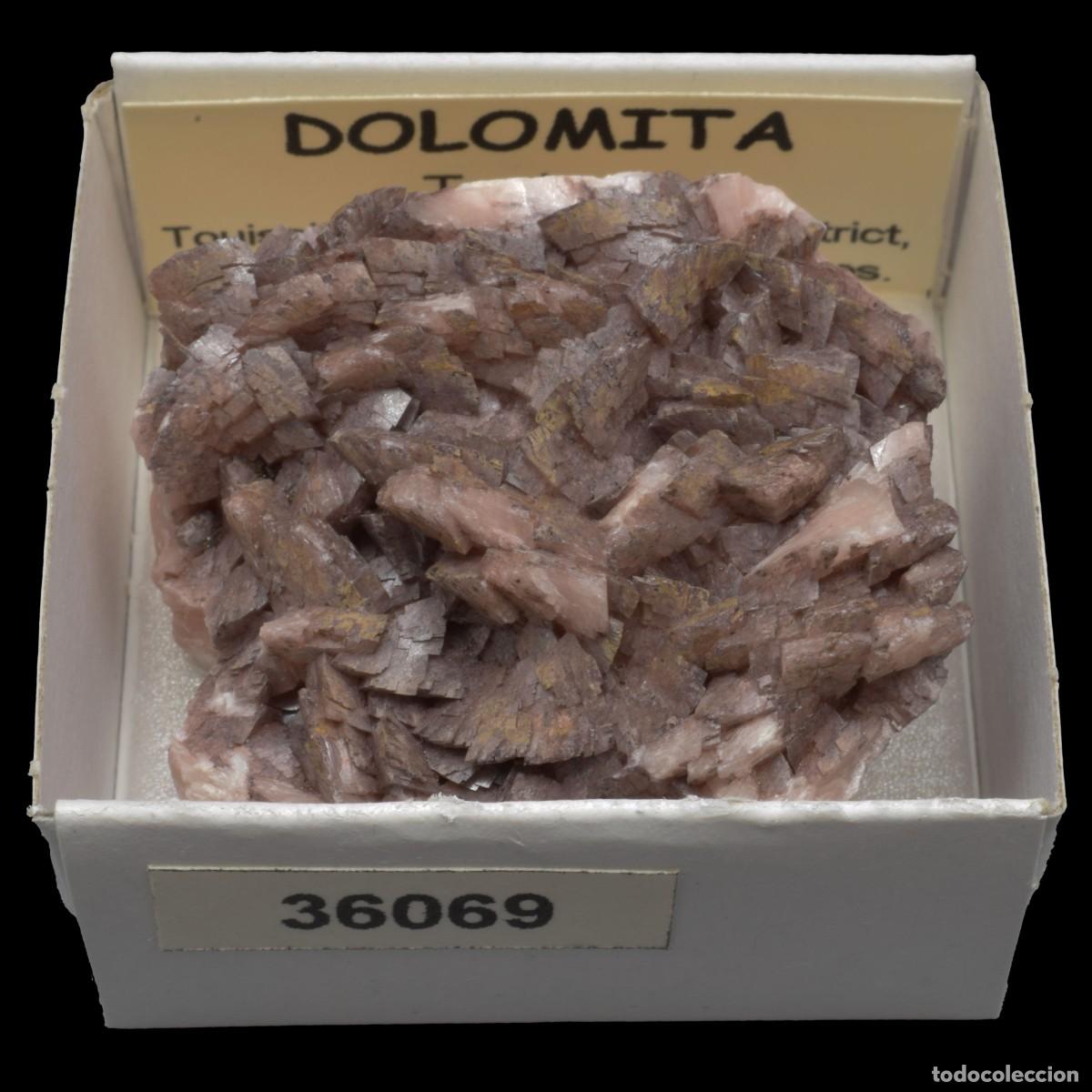 Coleccionismo de minerales: DOLOMITA xx (Touissit, Touissit-Bou Beker, Jerada, Oriental, Marruecos) #36069
