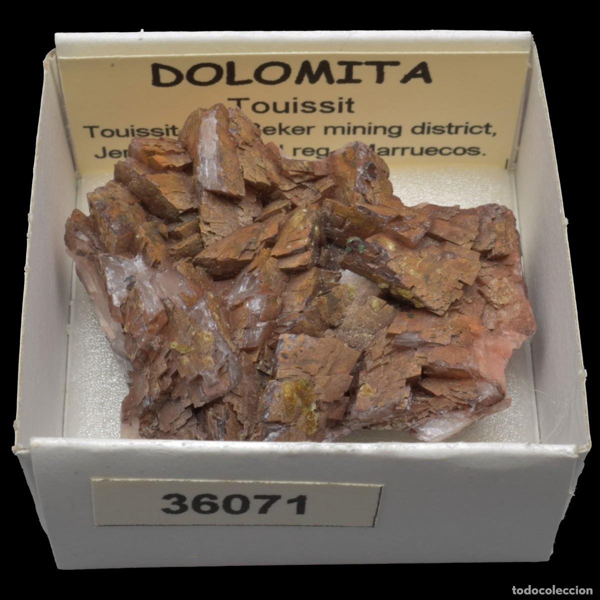 Coleccionismo de minerales: DOLOMITA xx (Touissit, Touissit-Bou Beker, Jerada, Oriental, Marruecos) #36071