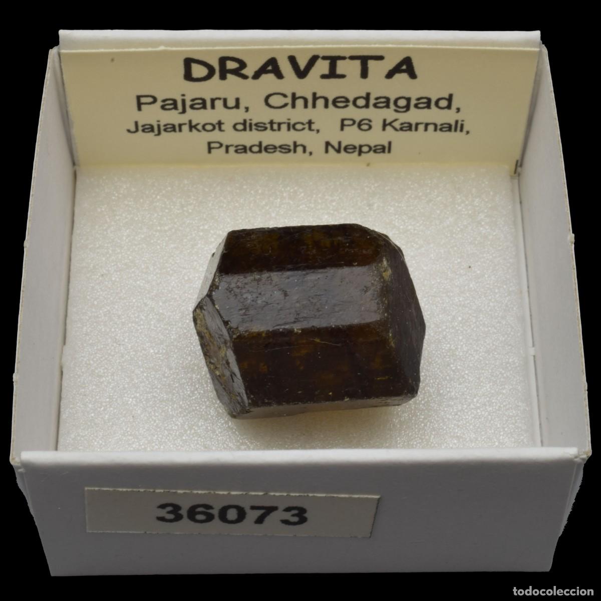Coleccionismo de minerales: DRAVITA (Pajaru, Chhedagad, Jajarkot dis., P6 Karnali, Pradesh, Nepal) #36073