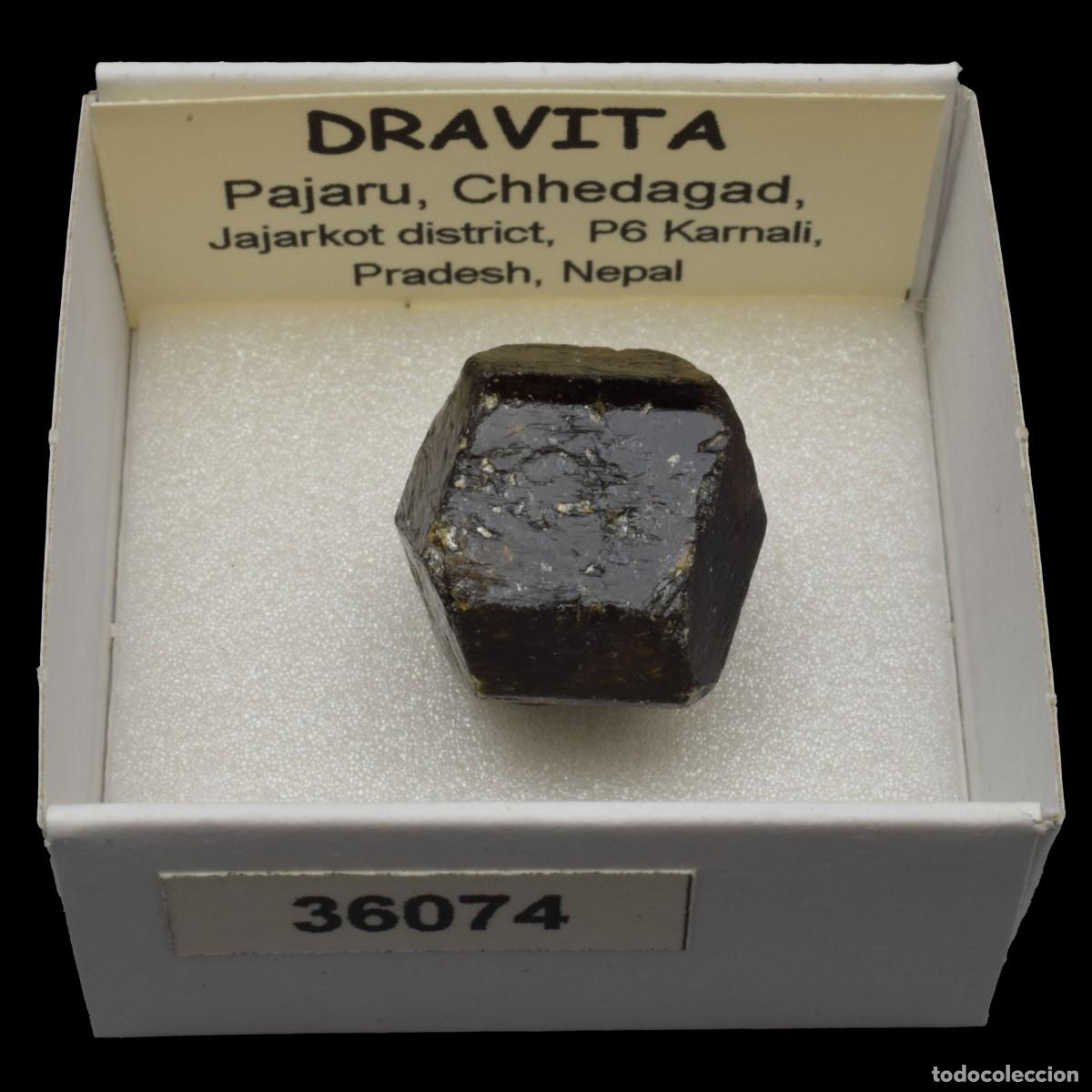 Coleccionismo de minerales: DRAVITA (Pajaru, Chhedagad, Jajarkot dis., P6 Karnali, Pradesh, Nepal) #36074