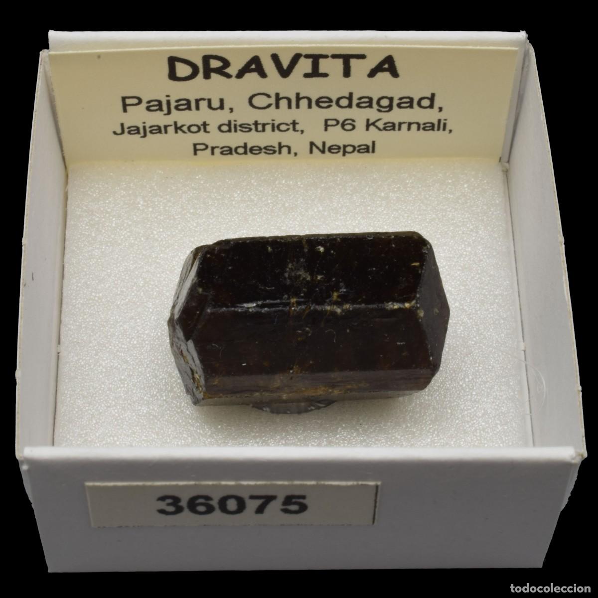 Coleccionismo de minerales: DRAVITA (Pajaru, Chhedagad, Jajarkot dis., P6 Karnali, Pradesh, Nepal) #36075