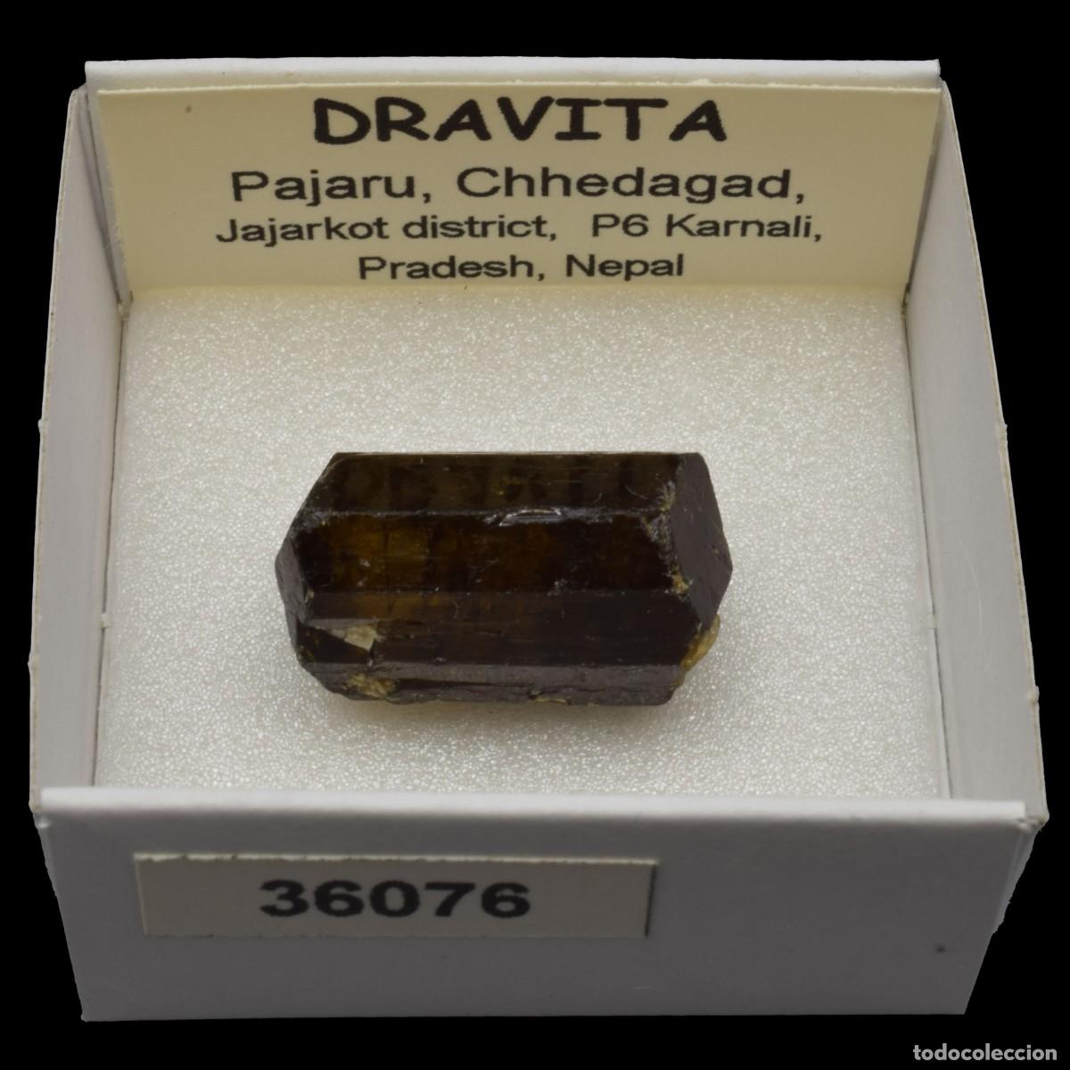 Coleccionismo de minerales: DRAVITA (Pajaru, Chhedagad, Jajarkot dis., P6 Karnali, Pradesh, Nepal) #36076
