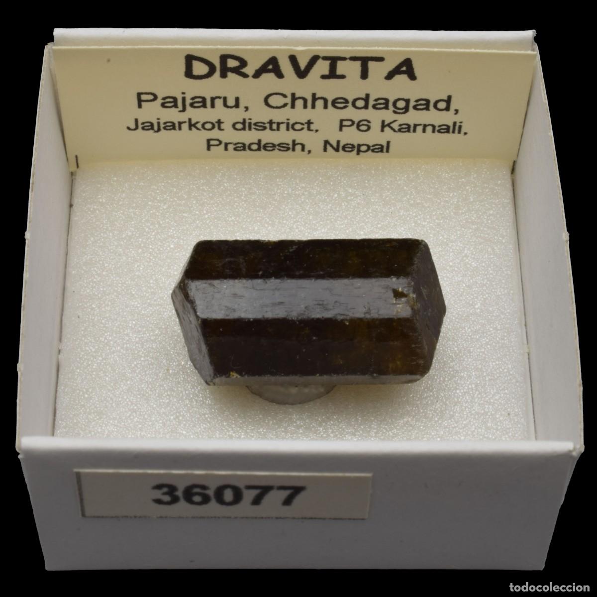 Coleccionismo de minerales: DRAVITA (Pajaru, Chhedagad, Jajarkot dis., P6 Karnali, Pradesh, Nepal) #36077