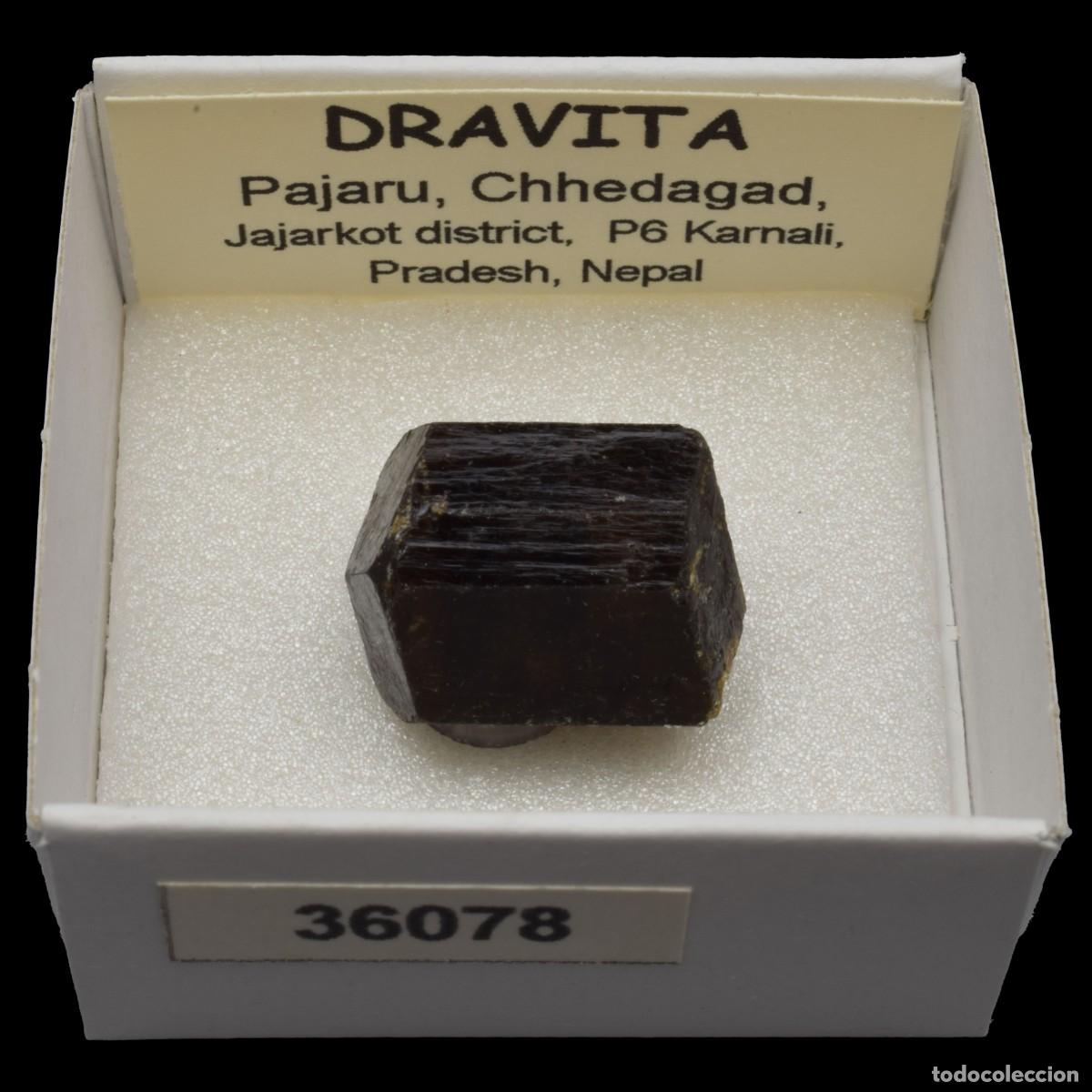 Coleccionismo de minerales: DRAVITA (Pajaru, Chhedagad, Jajarkot dis., P6 Karnali, Pradesh, Nepal) #36078