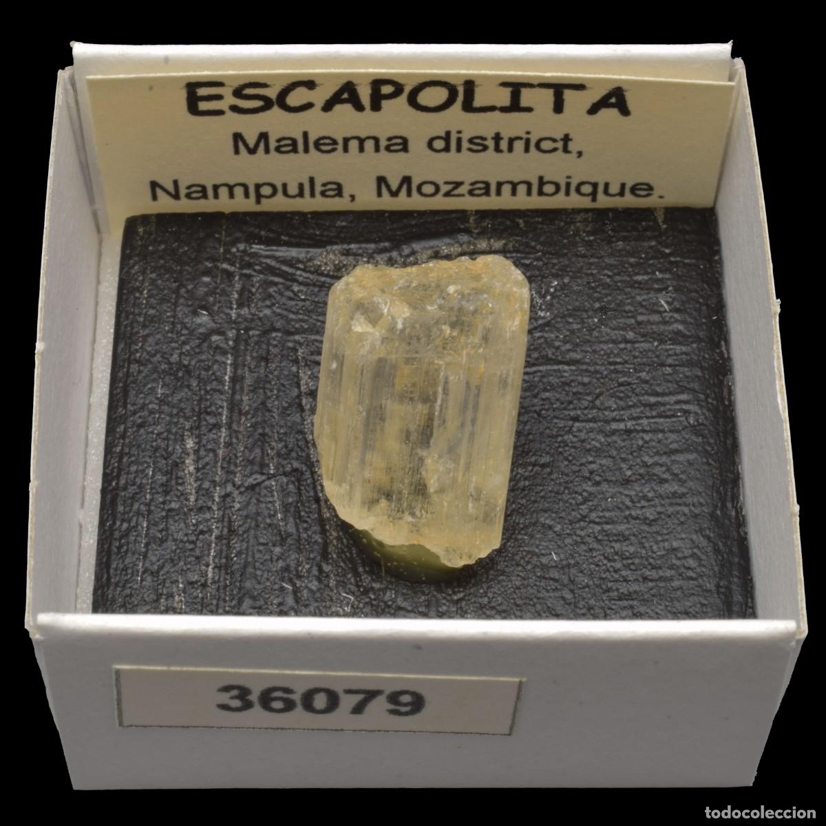 Coleccionismo de minerales: ESCAPOLITA (Malema district, Nampula, Mozambique) #36079