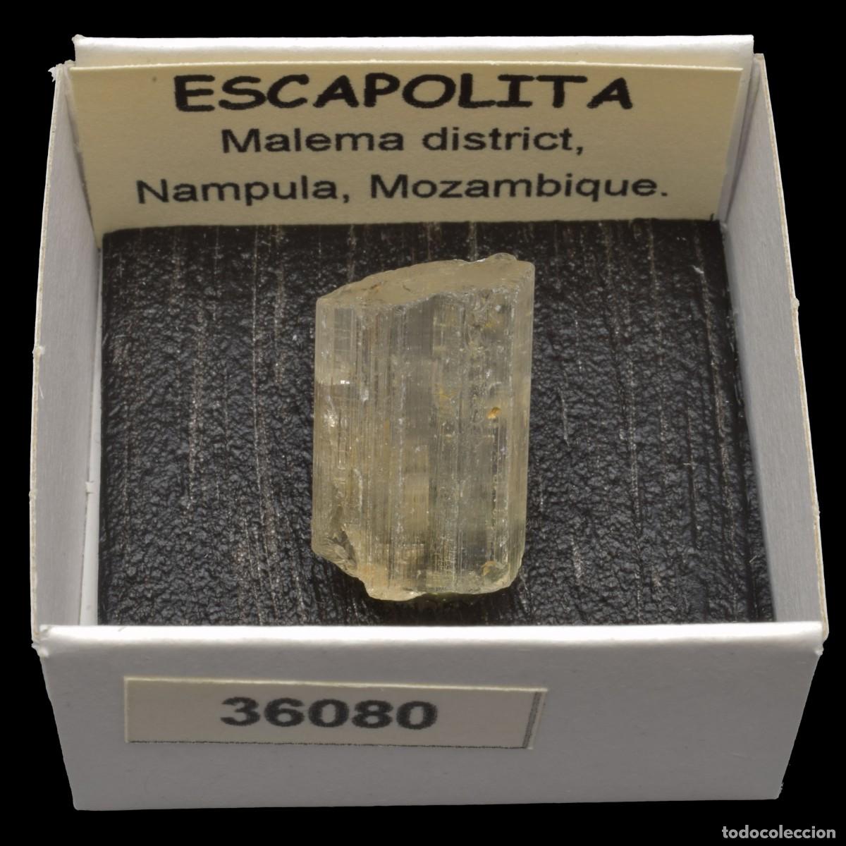 Coleccionismo de minerales: ESCAPOLITA (Malema district, Nampula, Mozambique) #36080
