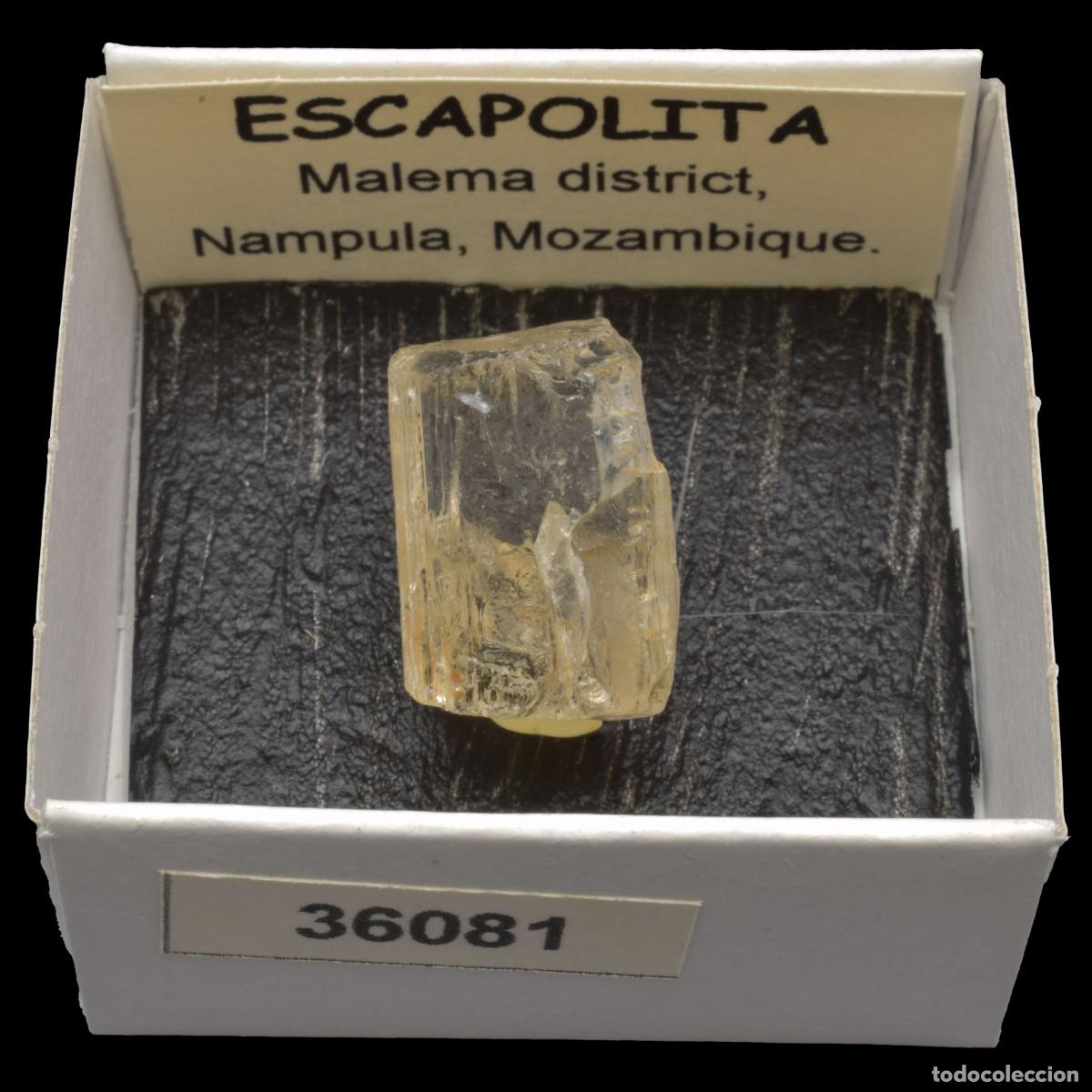 Coleccionismo de minerales: ESCAPOLITA (Malema district, Nampula, Mozambique) #36081