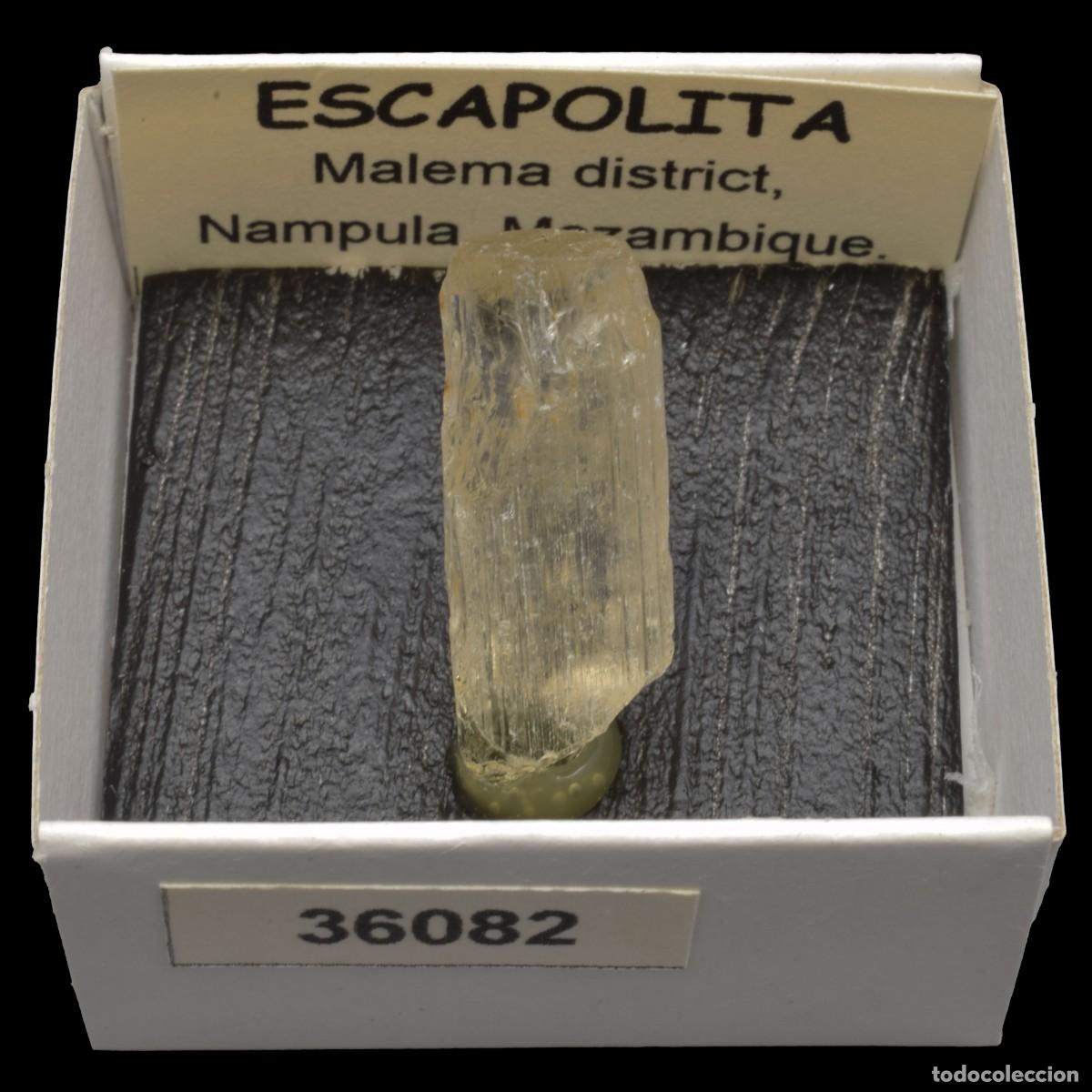 Coleccionismo de minerales: ESCAPOLITA (Malema district, Nampula, Mozambique) #36082