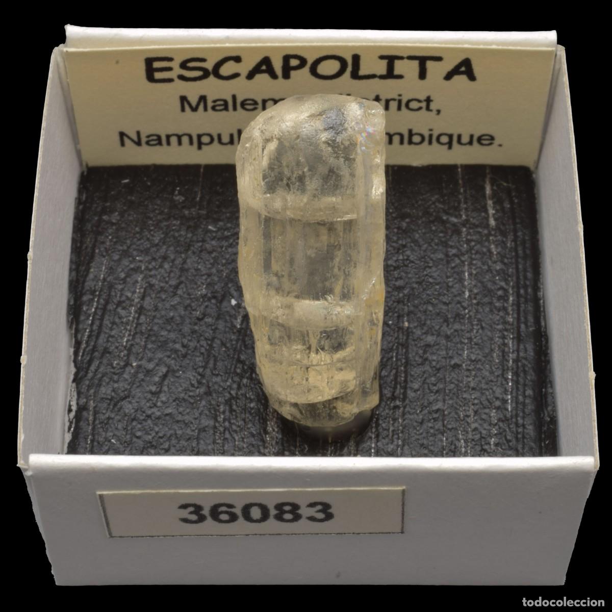 Coleccionismo de minerales: ESCAPOLITA (Malema district, Nampula, Mozambique) #36083