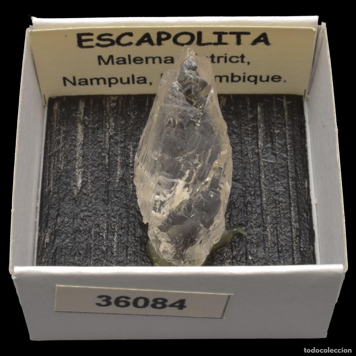 Coleccionismo de minerales: ESCAPOLITA (Malema district, Nampula, Mozambique) #36084