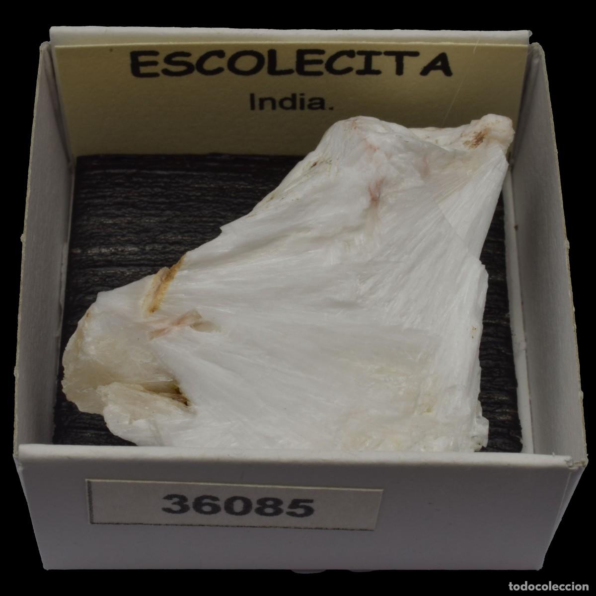 Coleccionismo de minerales: ESCOLECITA Fibrosa (India) #36085