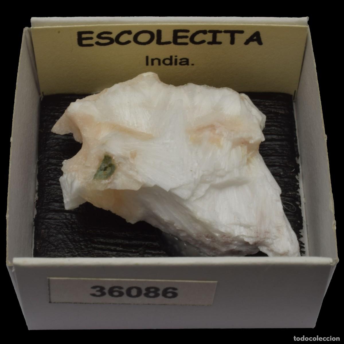 Coleccionismo de minerales: ESCOLECITA Fibrosa (India) #36086