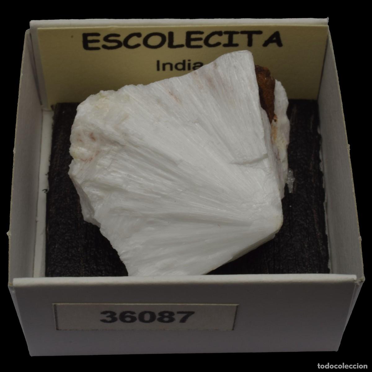 Coleccionismo de minerales: ESCOLECITA Fibrosa (India) #36087