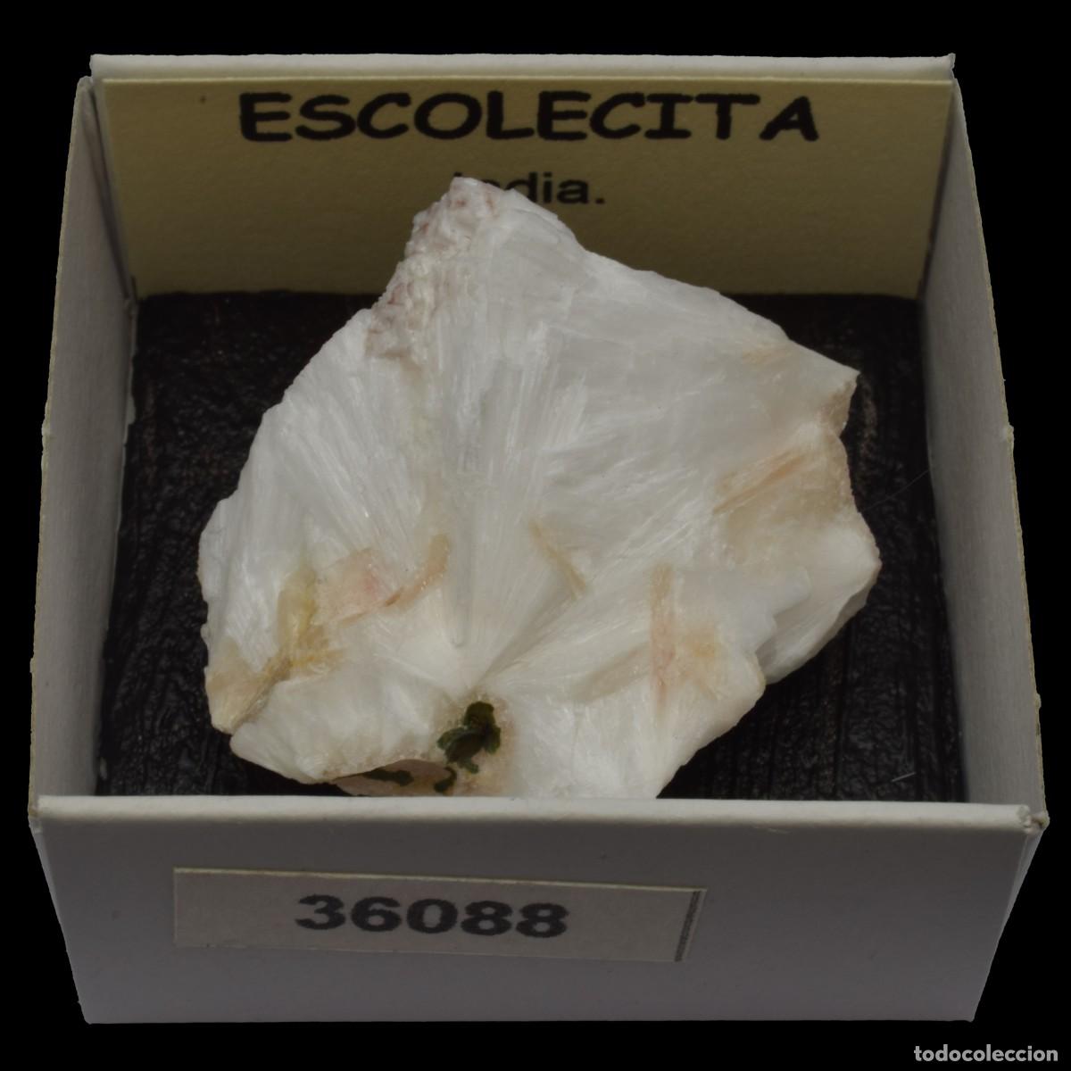 Coleccionismo de minerales: ESCOLECITA Fibrosa (India) #36088