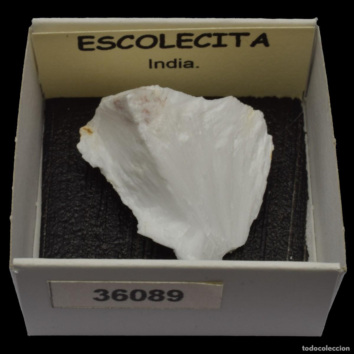 Coleccionismo de minerales: ESCOLECITA Fibrosa (India) #36089