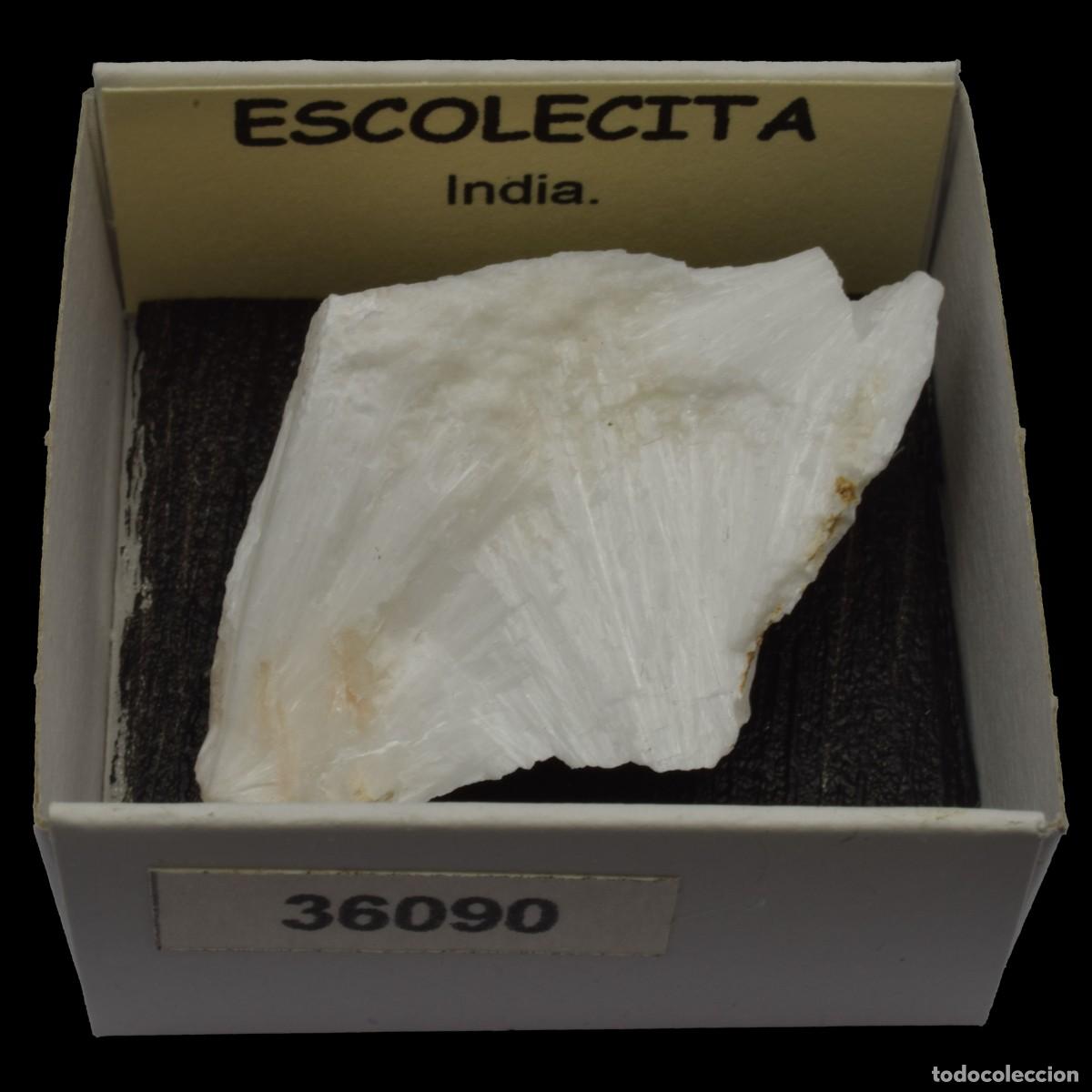 Coleccionismo de minerales: ESCOLECITA Fibrosa (India) #36090