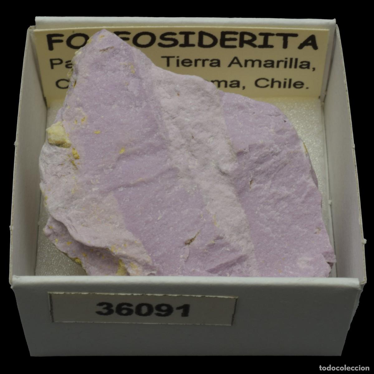 Coleccionismo de minerales: FOSFOSIDERITA (Paton Hill, Tierra Amarilla, Copiapo, Atacama, Chile) #36091