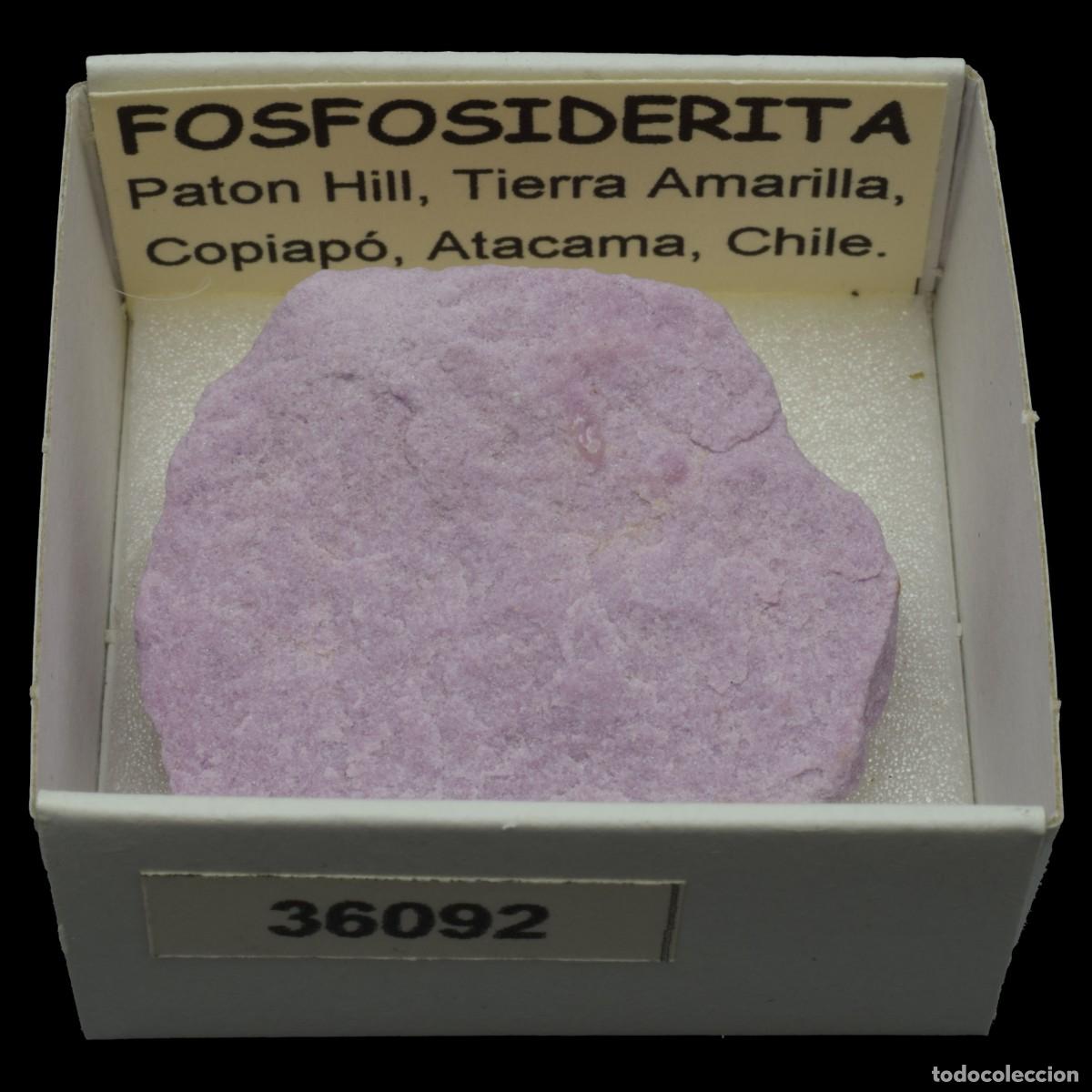 Coleccionismo de minerales: FOSFOSIDERITA (Paton Hill, Tierra Amarilla, Copiapo, Atacama, Chile) #36092