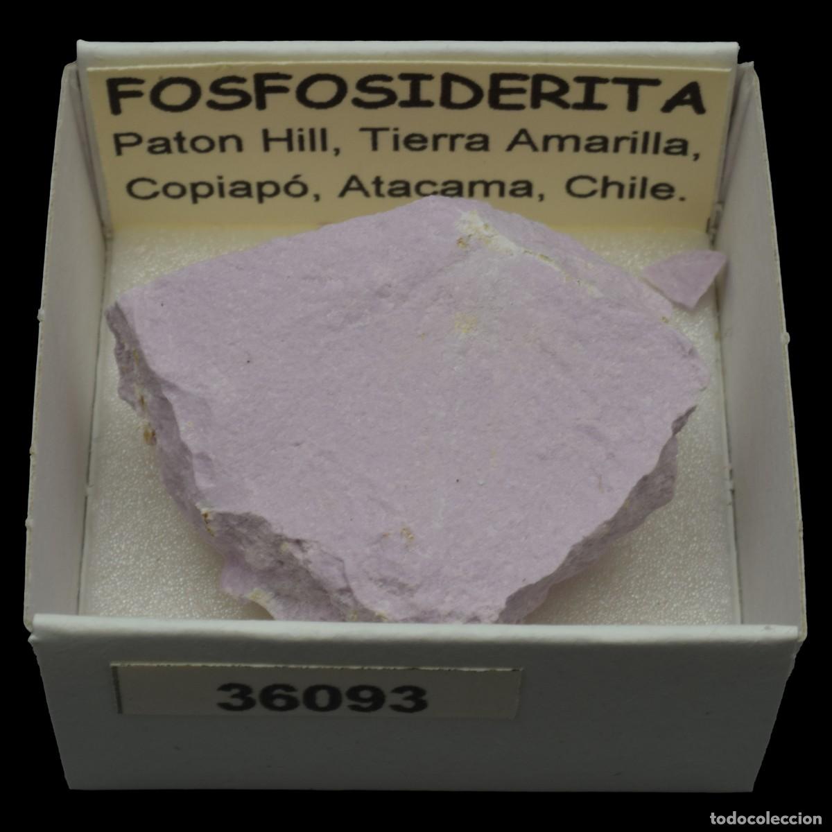 Coleccionismo de minerales: FOSFOSIDERITA (Paton Hill, Tierra Amarilla, Copiapo, Atacama, Chile) #36093