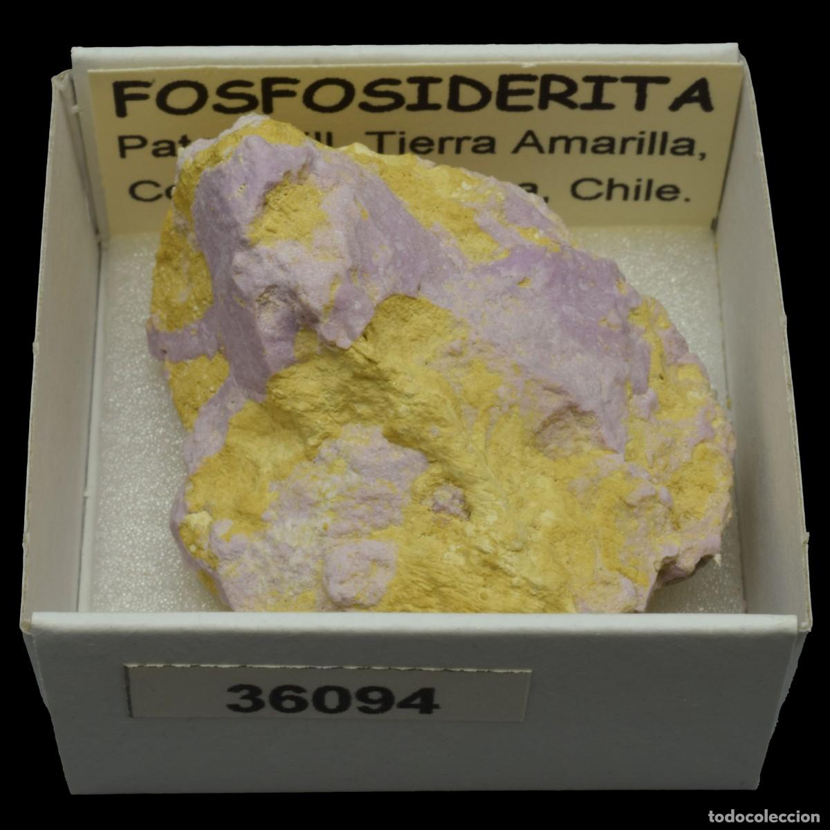 Coleccionismo de minerales: FOSFOSIDERITA (Paton Hill, Tierra Amarilla, Copiapo, Atacama, Chile) #36094