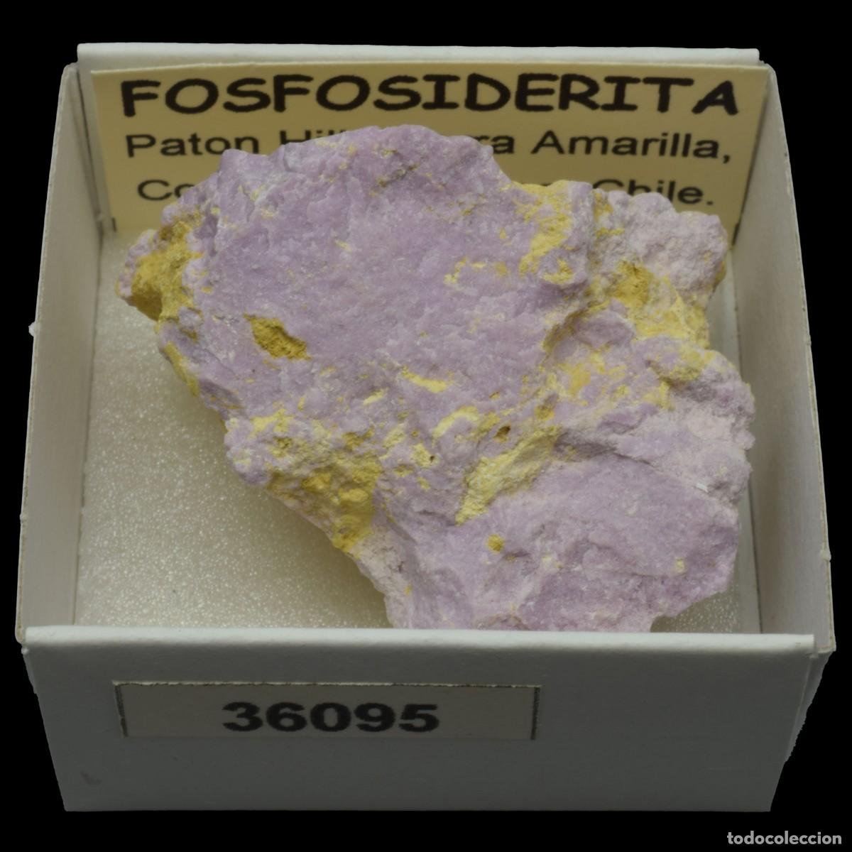 Coleccionismo de minerales: FOSFOSIDERITA (Paton Hill, Tierra Amarilla, Copiapo, Atacama, Chile) #36095