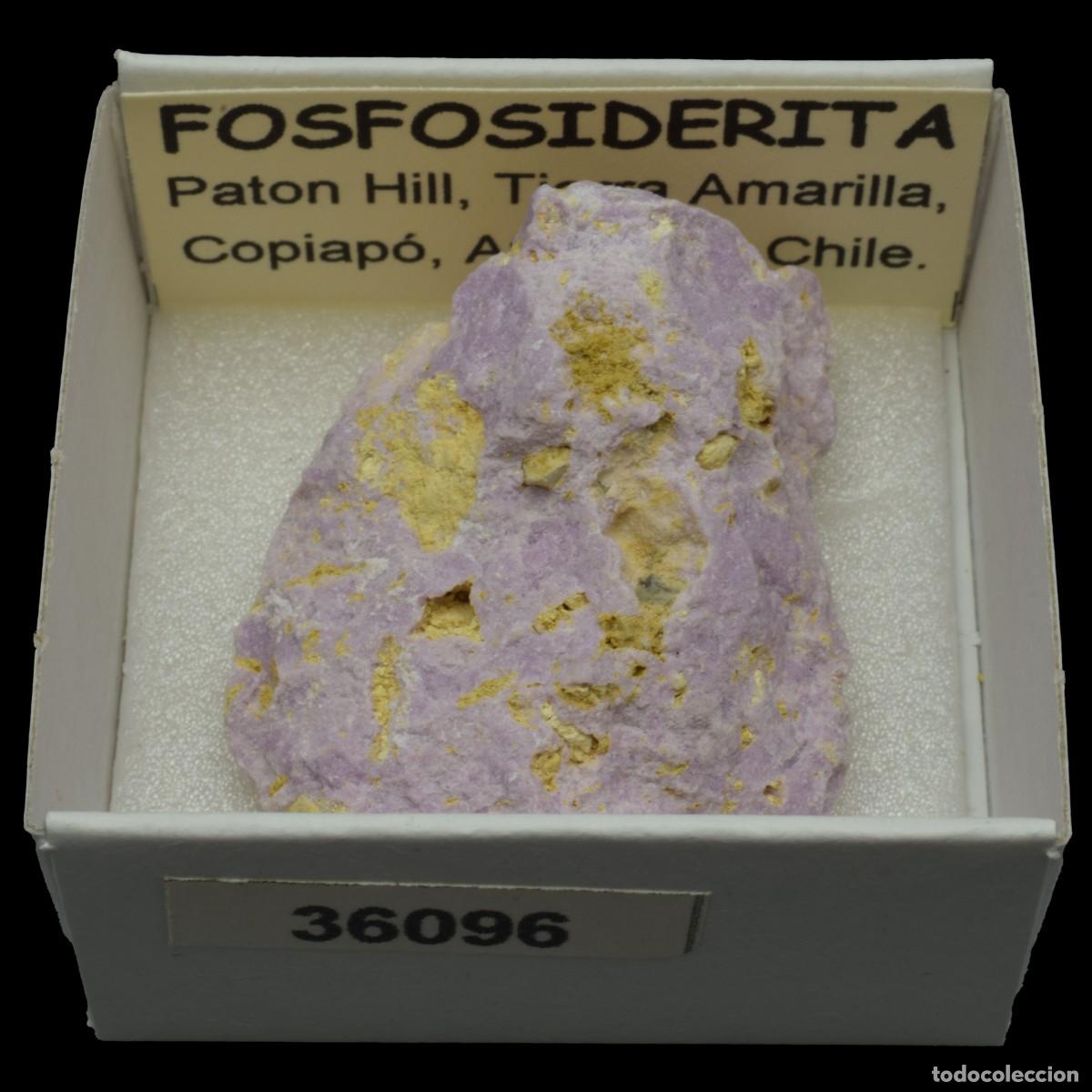 Coleccionismo de minerales: FOSFOSIDERITA (Paton Hill, Tierra Amarilla, Copiapo, Atacama, Chile) #36096