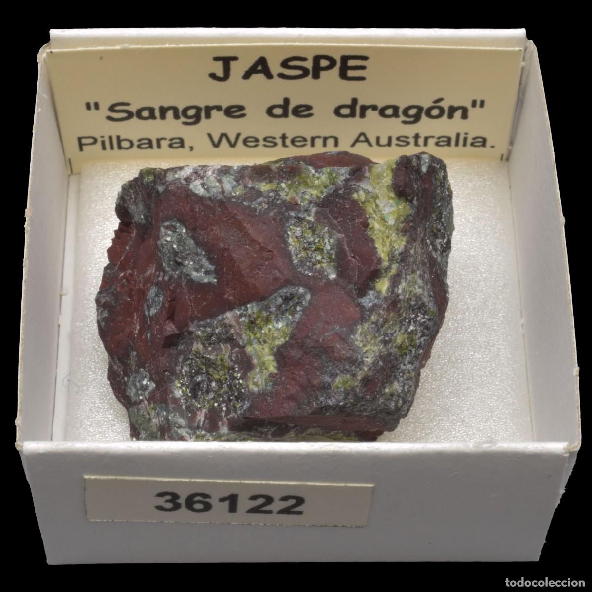 Coleccionismo de minerales: JASPE Sangre de dragon (Pilbara, Western Australia, Australia) #36122