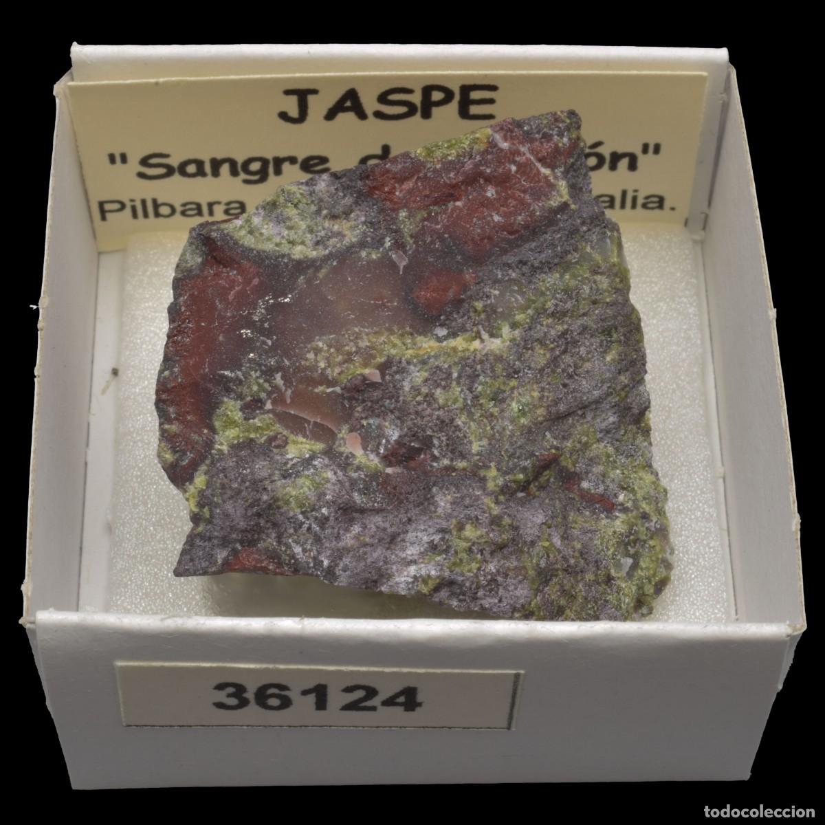 Coleccionismo de minerales: JASPE Sangre de dragon (Pilbara, Western Australia, Australia) #36124