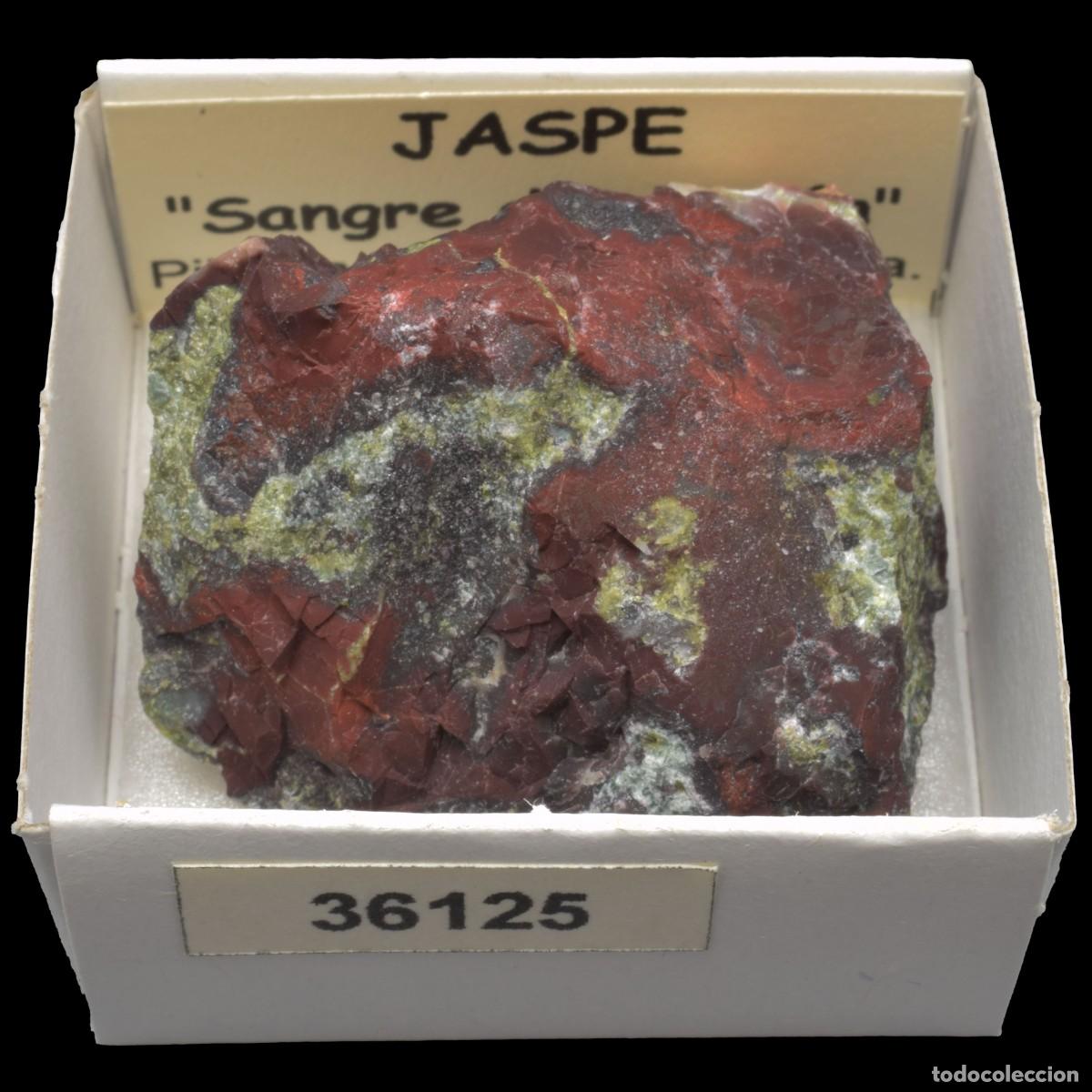 Coleccionismo de minerales: JASPE Sangre de dragon (Pilbara, Western Australia, Australia) #36125