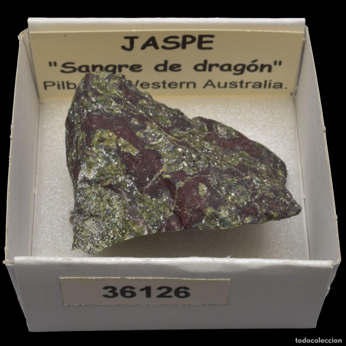Coleccionismo de minerales: JASPE Sangre de dragon (Pilbara, Western Australia, Australia) #36126