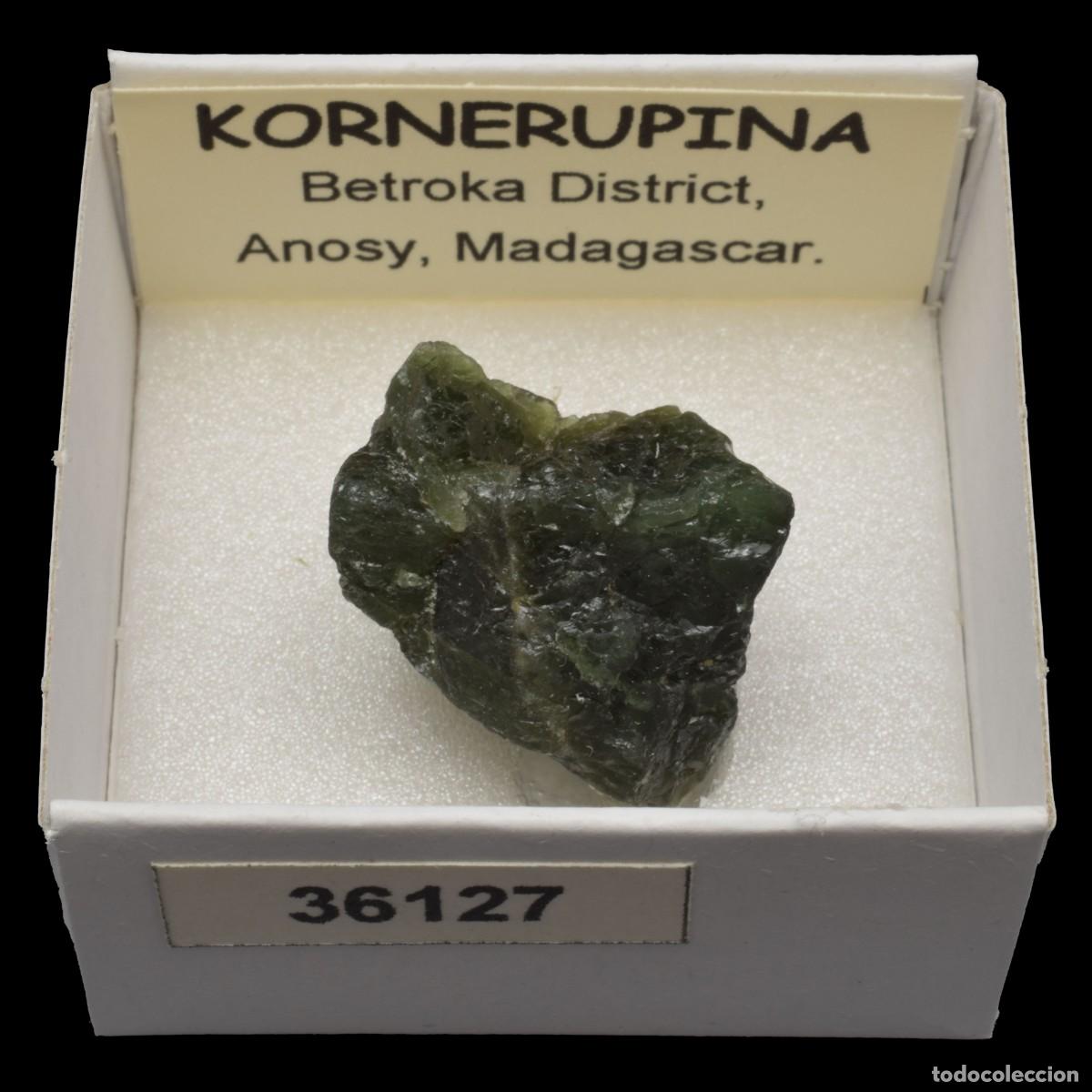 Coleccionismo de minerales: KORNERUPINA (Betroka district, Anosy, Madagascar) #36127