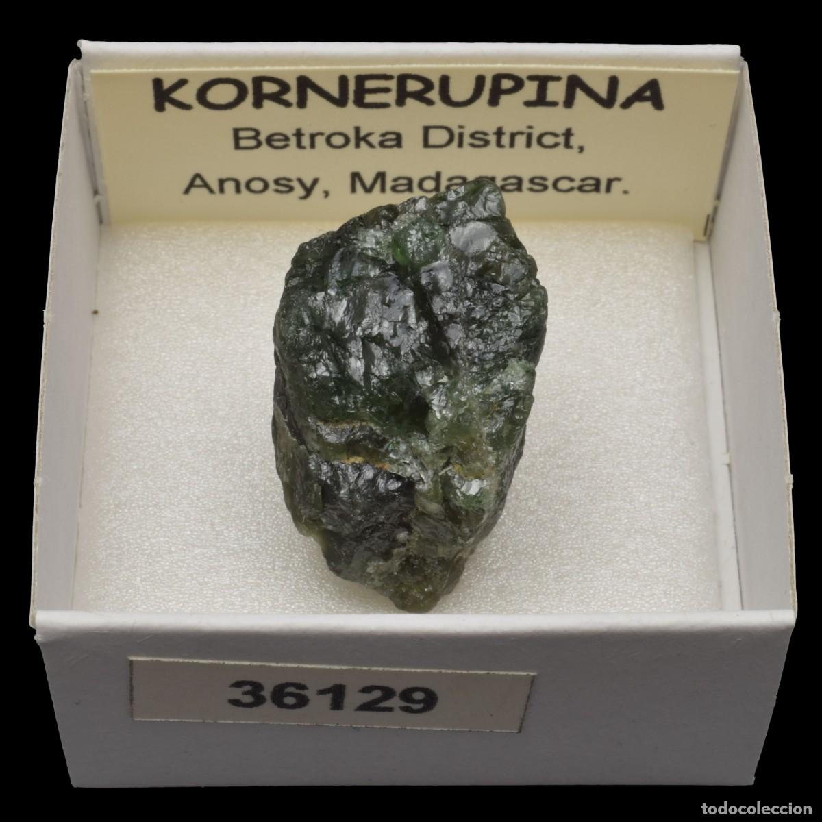 Coleccionismo de minerales: KORNERUPINA (Betroka district, Anosy, Madagascar) #36129