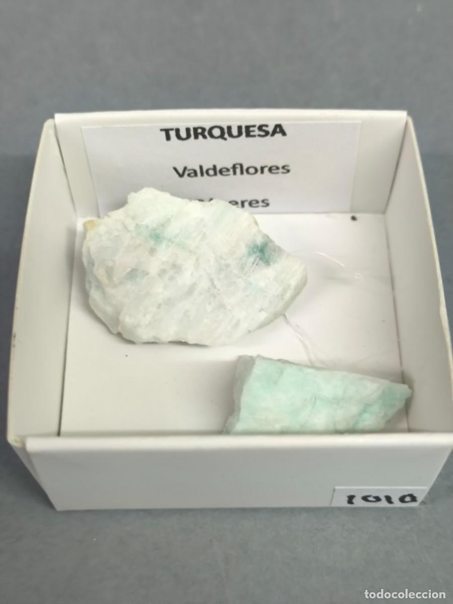 Coleccionismo de minerales: TURQUESA (Montebrasita) - MINERAL. 4X4. C&aacute;ceres