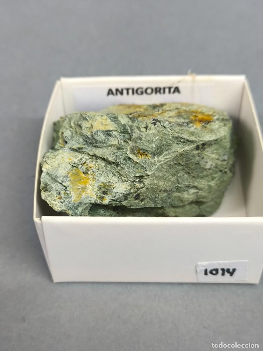 Coleccionismo de minerales: ANTIGORITA - MINERAL. Granada 4x4