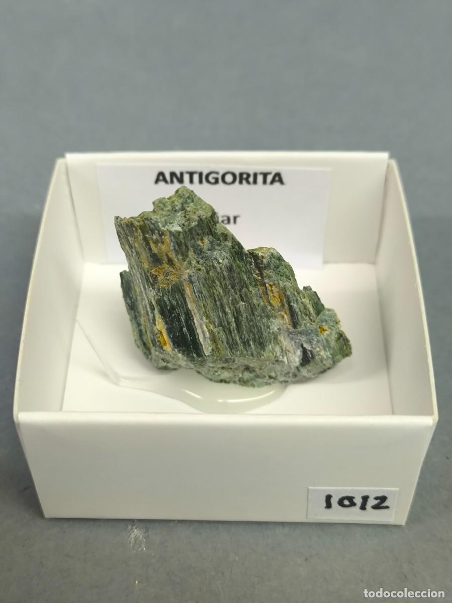 Coleccionismo de minerales: ANTIGORITA - MINERAL. Granada 4x4