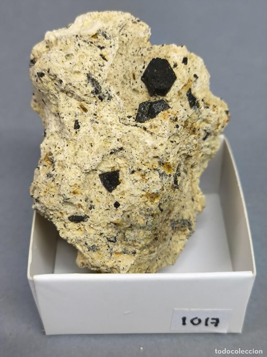 Coleccionismo de minerales: MAGNESIOHORMBLENDA - MINERAL. 4x4 . Almer&iacute;a