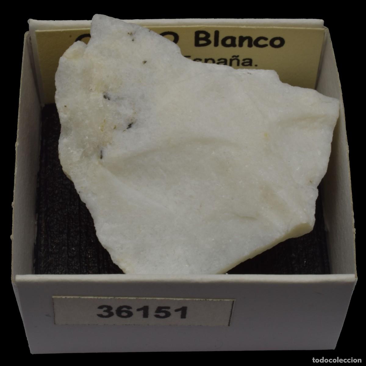 Coleccionismo de minerales: OPALO Blanco (Teruel, Espa&ntilde;a) #36151