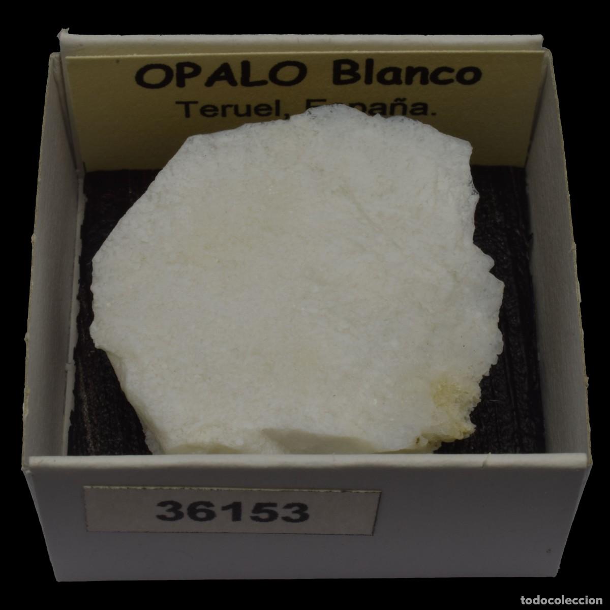 Collectionnisme de min&eacute;raux: OPALO Blanco (Teruel, Espa&ntilde;a) #36153