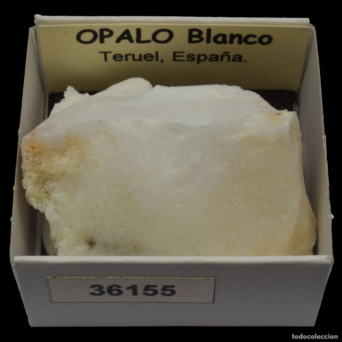Collectionnisme de min&eacute;raux: OPALO Blanco (Teruel, Espa&ntilde;a) #36155