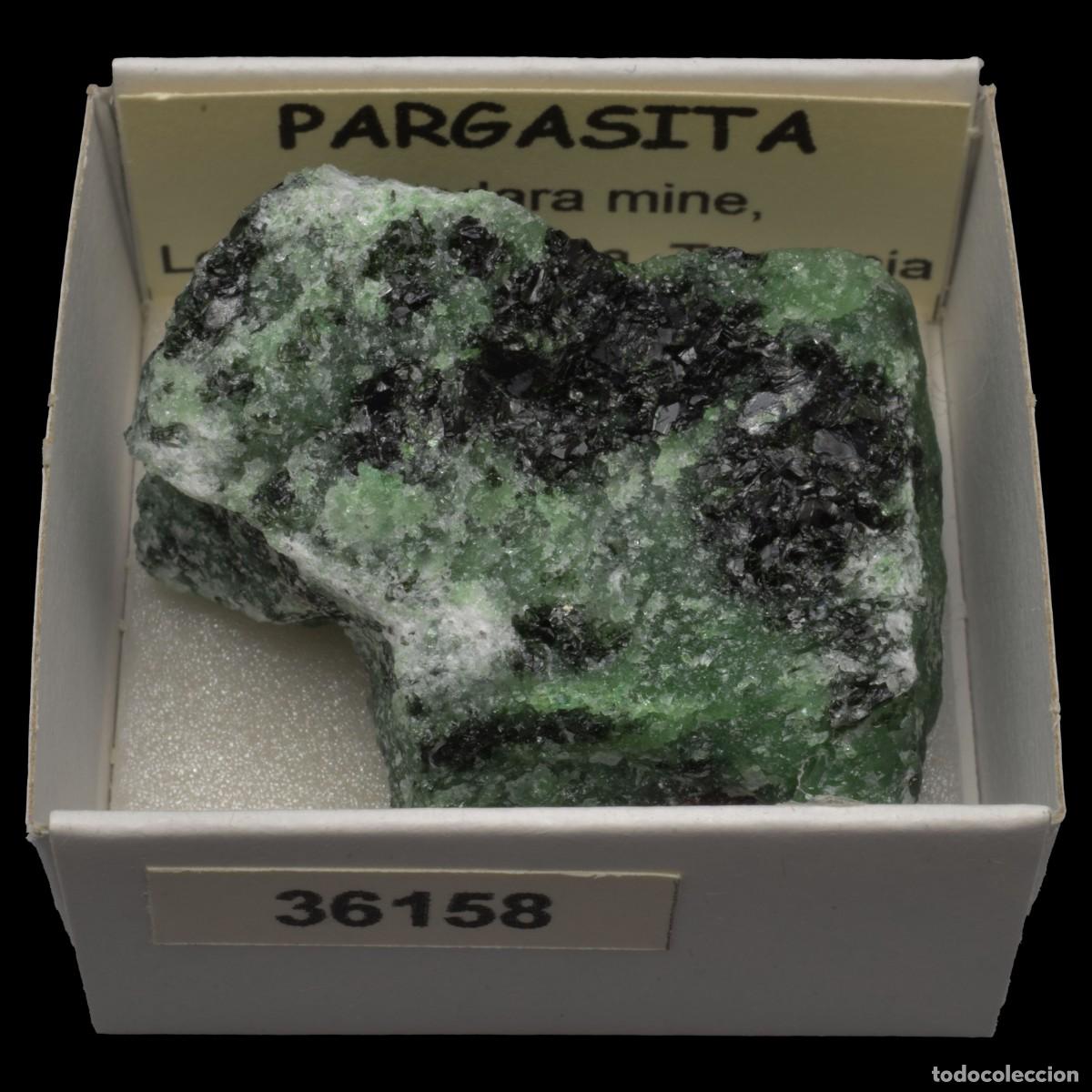 Coleccionismo de minerales: PARGASITA (Mundara mine, Longido, Arusha, Tanzania) #36158