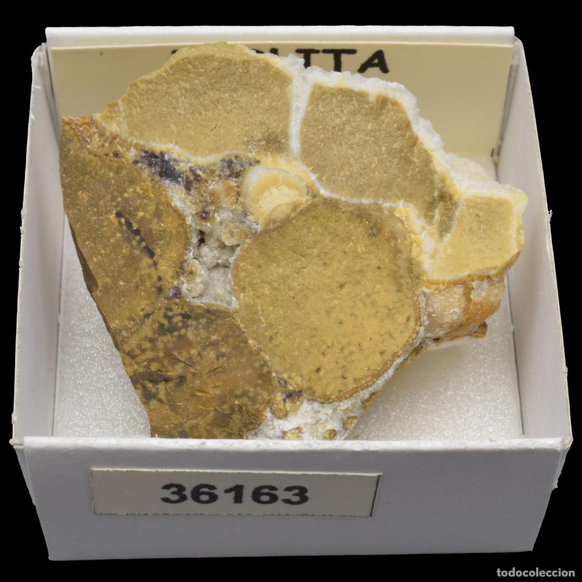 Sammlung von Mineralien: RIOLITA (India) #36163