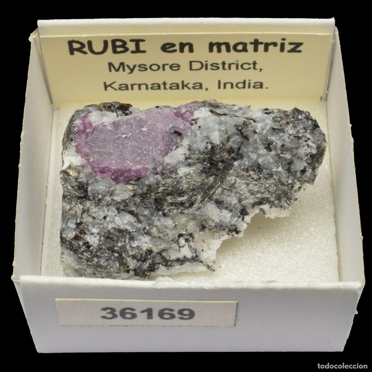 Collectionnisme de min&eacute;raux: RUBI en matriz (Mysore district, Karnataka, India) #36169